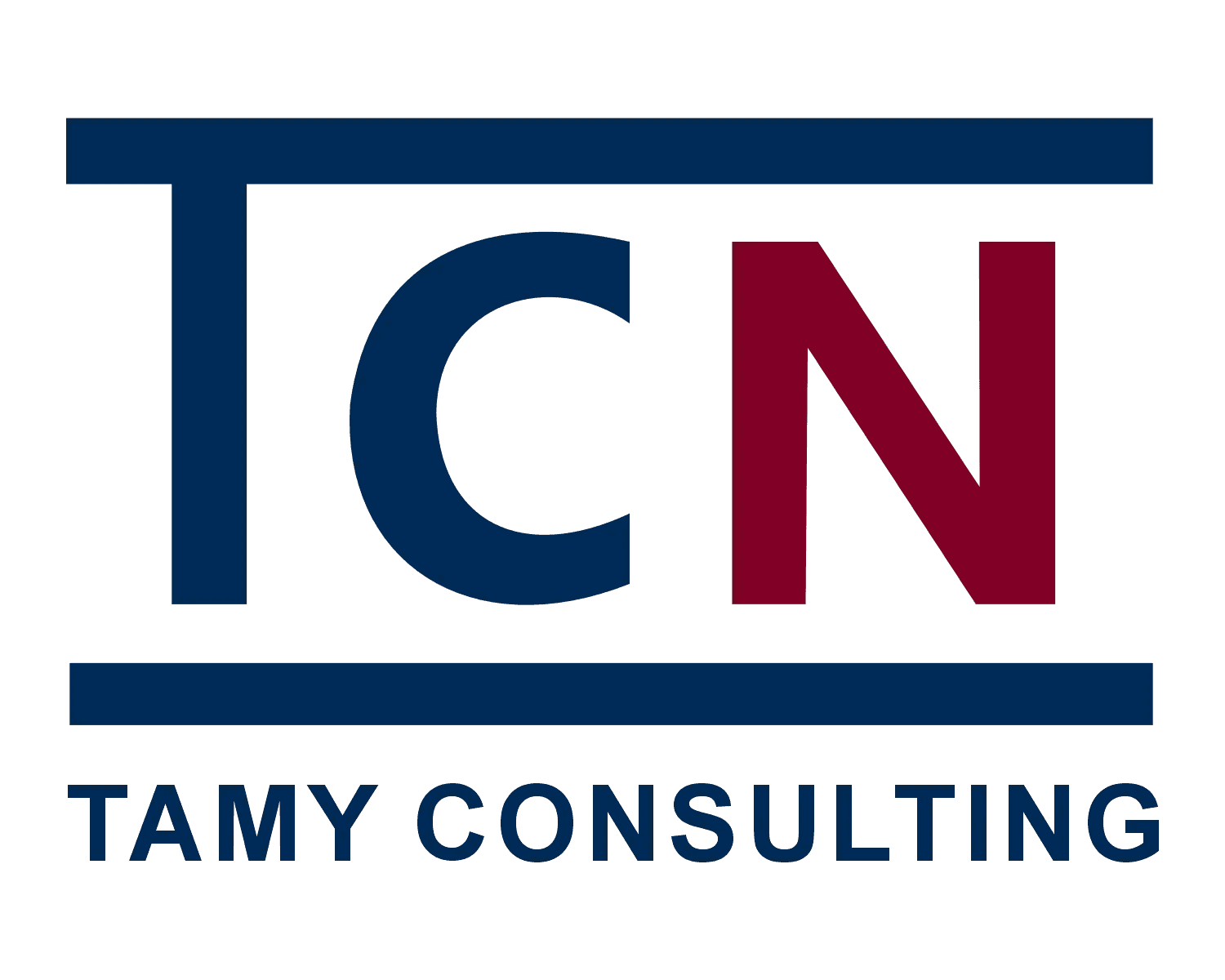 Tamy Consulting logo